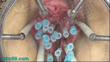 Extreme German BDSM Needles inner Pussy Cervix and Tits